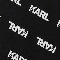 Funda iPhone 11 Pro Max logotipos Karl Lagerfeld CG210005 foto 5