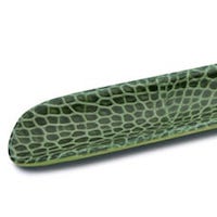 Calzador Walking Sticks de Piel Verde - Elegancia  foto 2