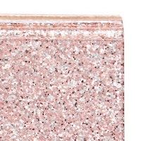 Cartera brillante