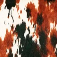 Estampado animal exclusivo