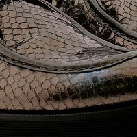 Zapatos metazalidos