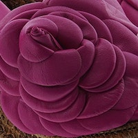 Detalles especiales