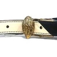 Hebilla dorada decorativa