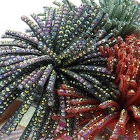 Sandalias Planas Dedo Kurt Geiger - Colores Vibrantes y Elegancia foto 5