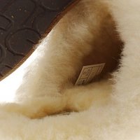 Zapatilla estar por casa destalonada nobuck Ugg Scuffette foto 6